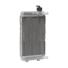 Radiateur avec bouchon DD2  apres 2011