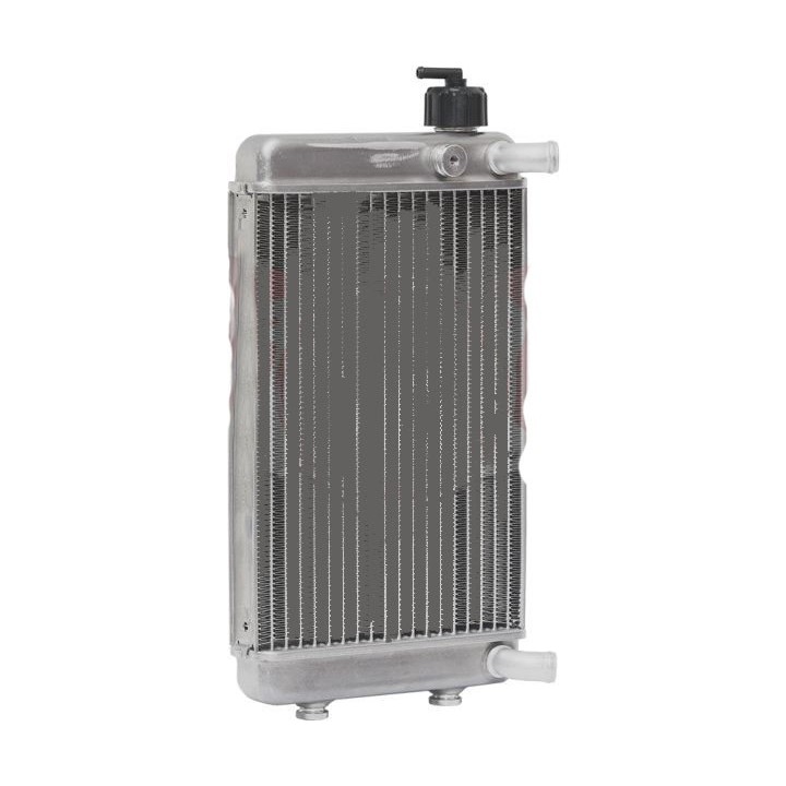 Radiateur avec bouchon DD2  apres 2011