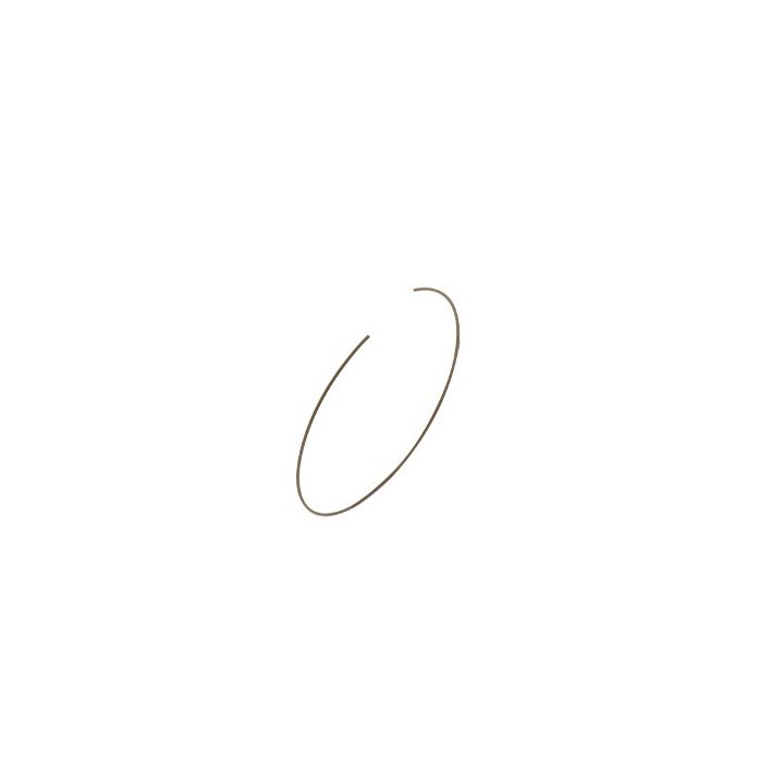 Clips Etrier Avant BS5