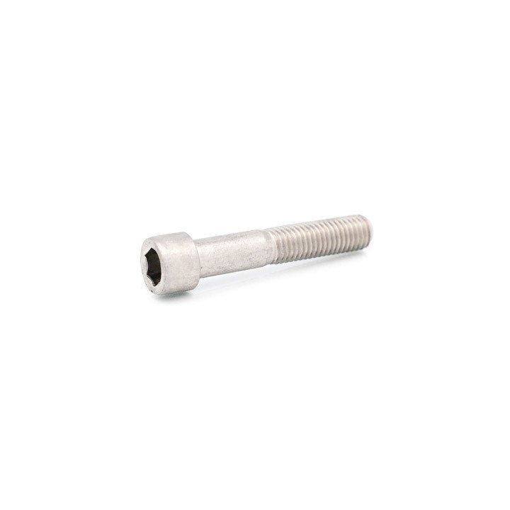 BTR M8x75mm (radiator) screw -Magickart