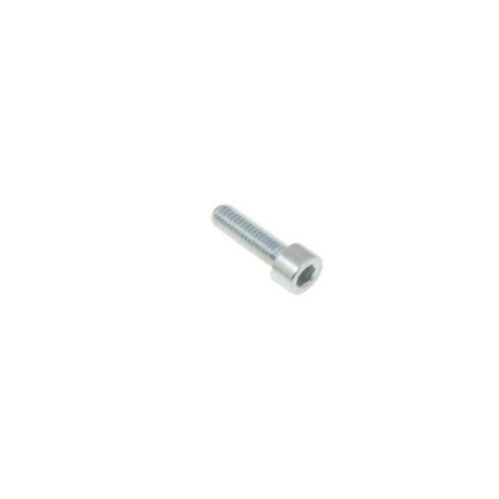 Vis Tête Cylindrique 6 x 20