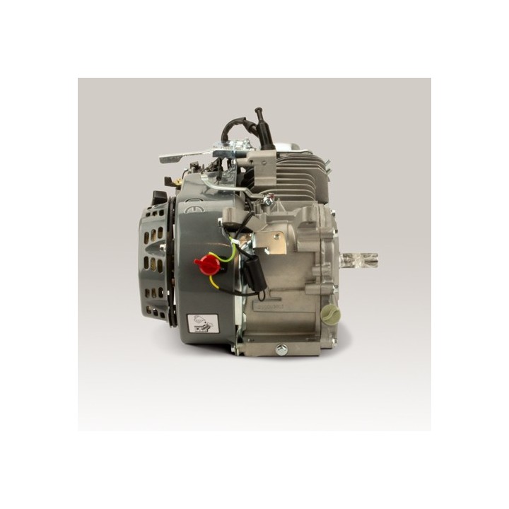 Kart engine 200cc Evo2 5KW - with bearing shells and better CS