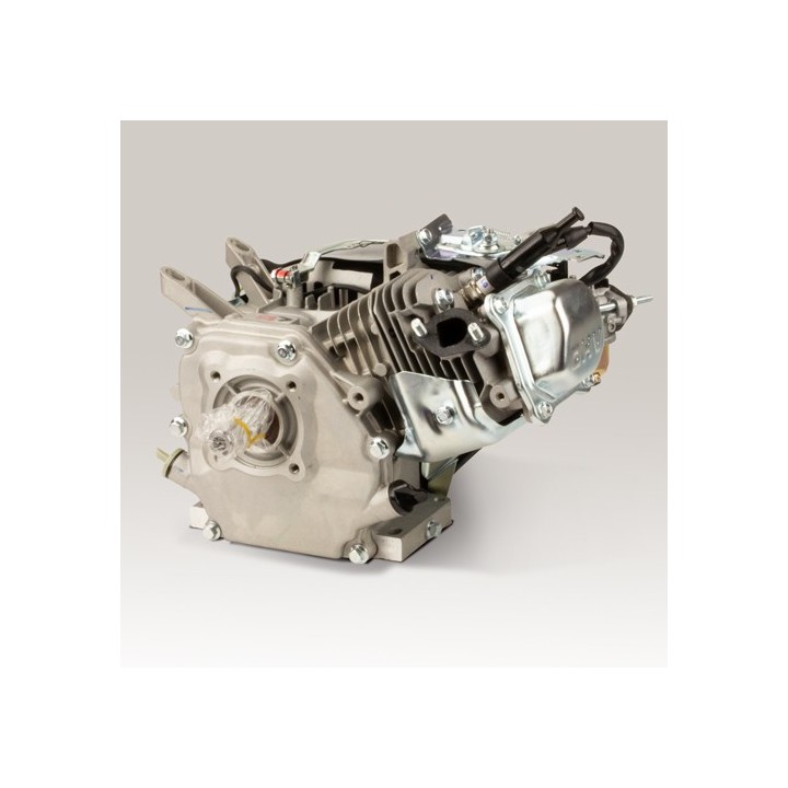 Kart engine 200cc Evo2 5KW - with bearing shells and better CS