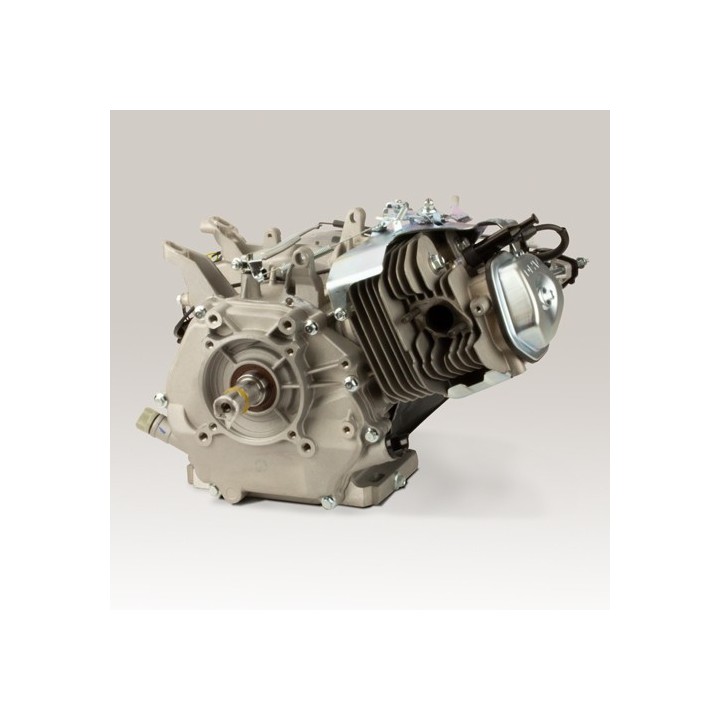 Magick moteur DM 390cc Evo2 9KW
