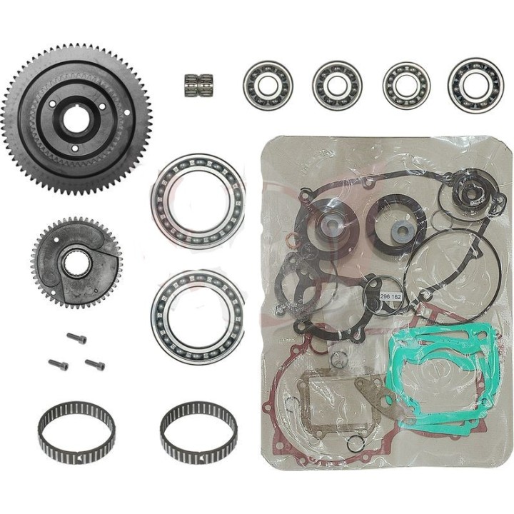 Kit réparation arbre d'équibrillage  DD2 rotax