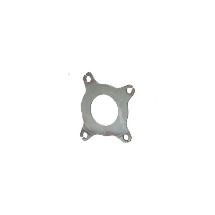 Plaque support (couvercle d'embrayage) DD2 ROTAX
