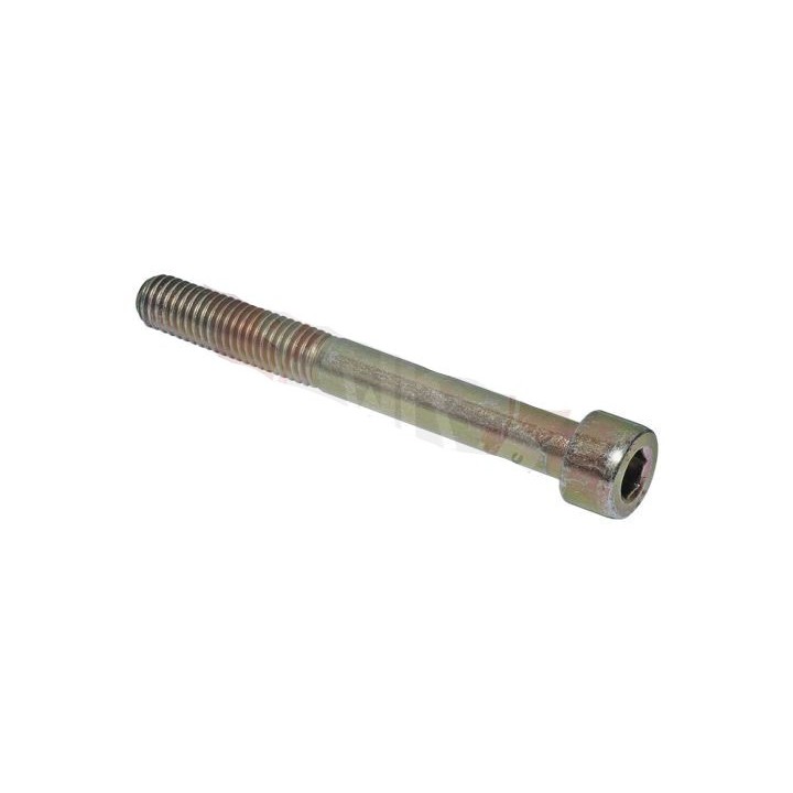 (24) Vis BTR M8x70mm Rotax