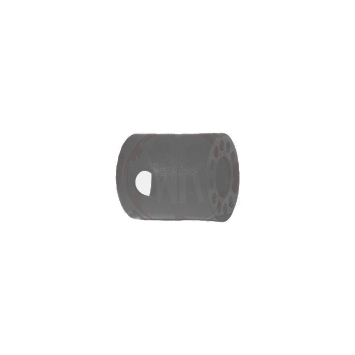 (9) Douille RTPS DD2 Rotax