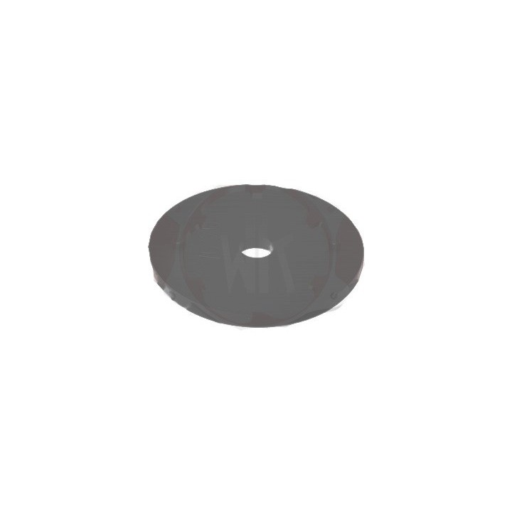 (3) Rondelle plate large 52x4mm RTPS DD2 ROTAX