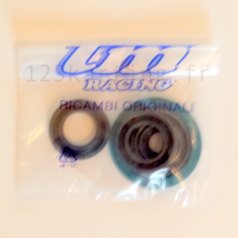 Kit Sello Spy Motor KZ10 / KZ-R1