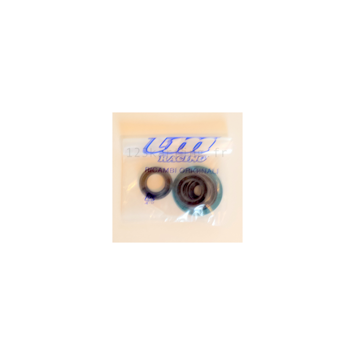 Kit Seal Sigillo MOTORE KZ10 / KZ-R1