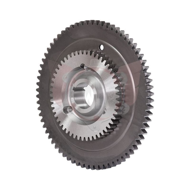 Rotax Στεφάνι συμπλέκτη 70 DTS DD2 