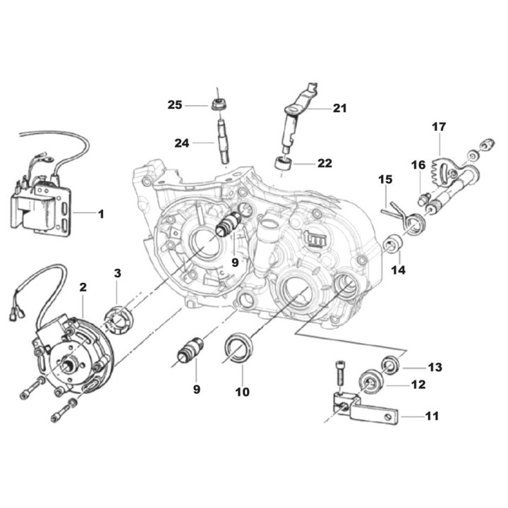 (11) TM gearbox selector