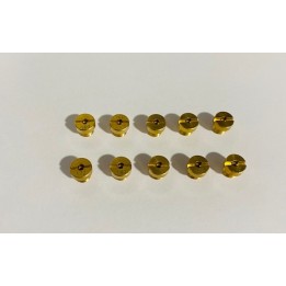 lot de 10 gicleur pigé Cobra