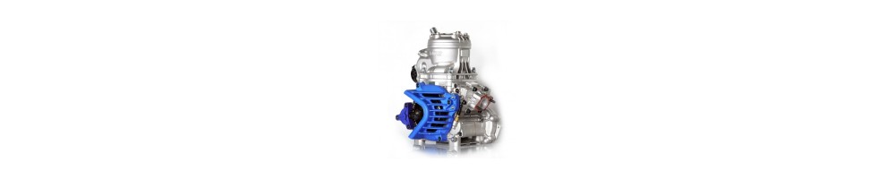 Moteur S125 IAME