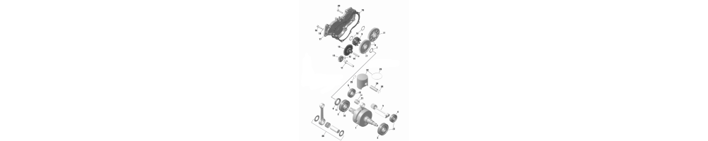 Vilebrequin, piston ,pompe a eau Rotax  -Promotion - Magickart