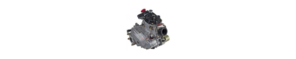 Motore Rotax ROTAX 125 DD2 EVO