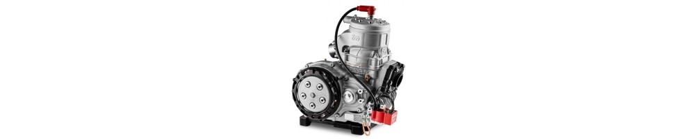 Moteur TM KART KZ- Magickart