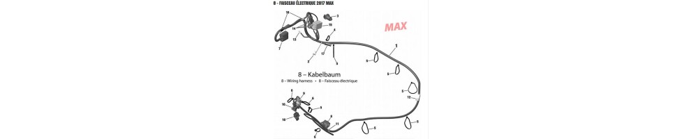 Rotax max 2017 beam
