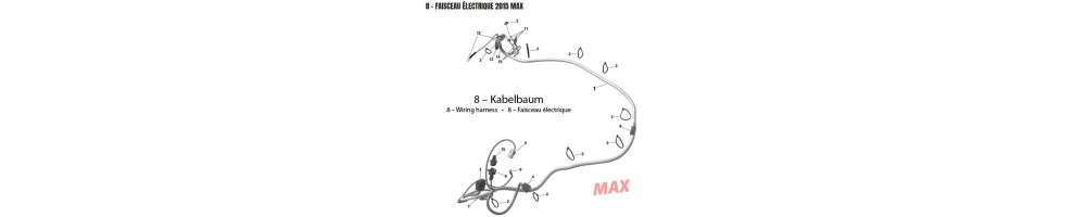 Fascio MAX 2015