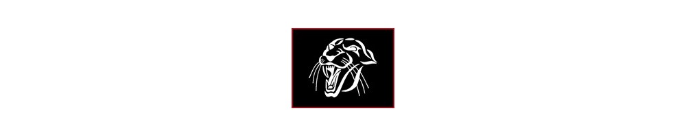 Panther chaine