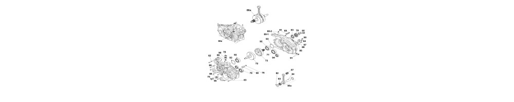 Carter et vilebrequin IAME Screamer 3 KZ