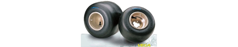 Karting Vega Pneus, Mojo, Lecont com o melhor preço | Magickart