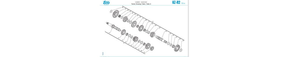 KZ-R2 gearbox