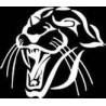  Panther Kart Chain