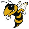hornet line